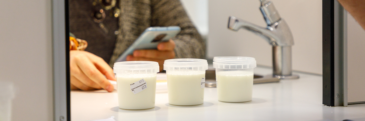 Sensory analysis or tasting of dairy products as validation tool